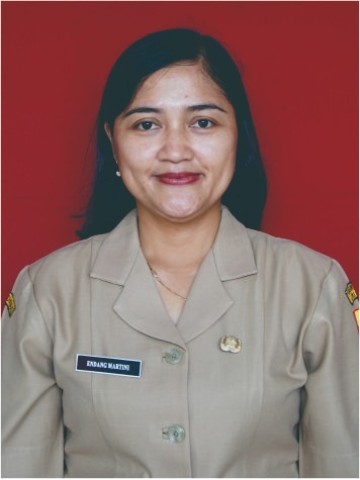 Endang Martini, S.Kom
