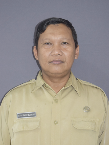 Muhammad Mahmudi